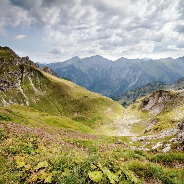 view on valley in mountains